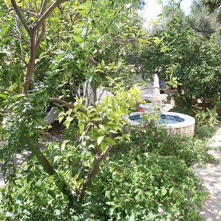 Villa Aphrodite Nissaki Nisaki  Exteriér fotografie